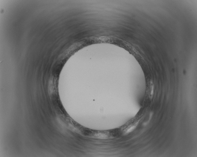 X0000083620236200703121636