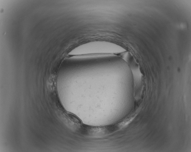 X0000083620237200703121636