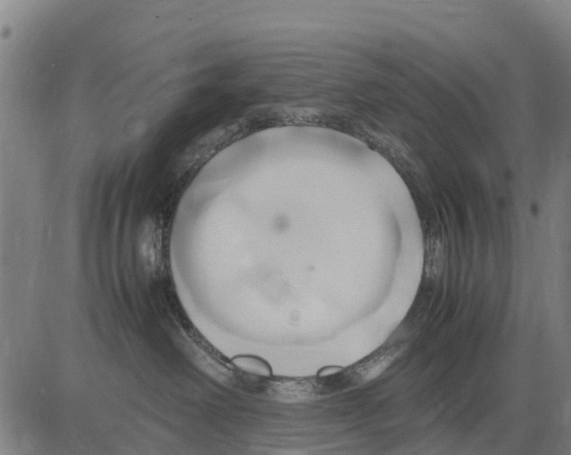 X0000083620238200703121636