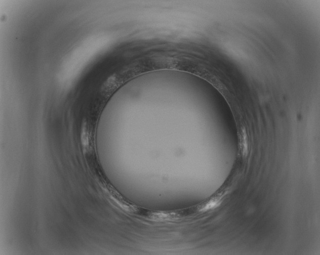 X0000083620239200703121636