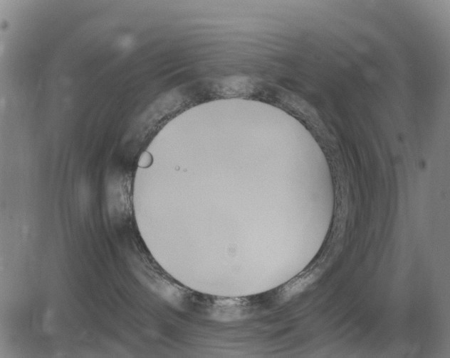 X0000083620240200703121636