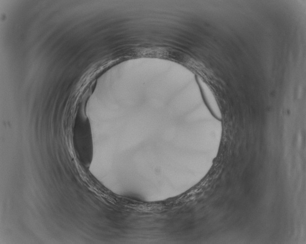 X0000083620241200703121635