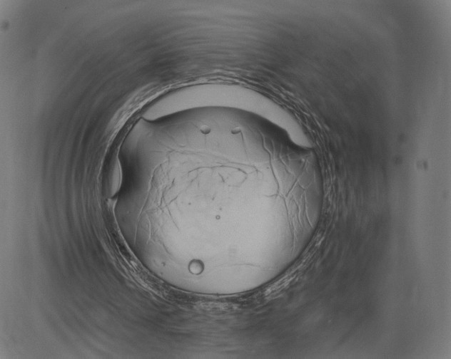 X0000083620242200703121635