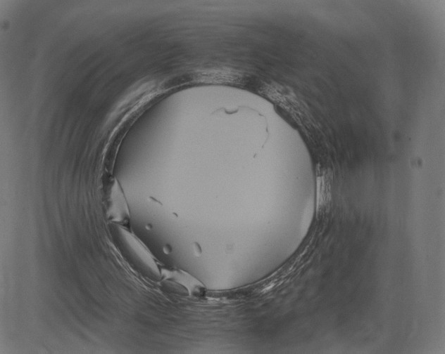 X0000083620243200703121635