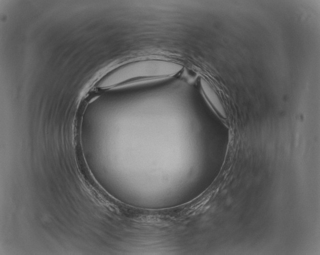 X0000083620244200703121635