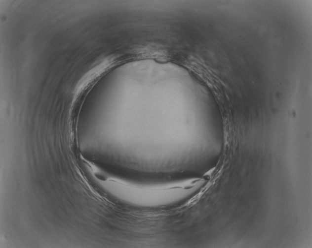 X0000083620245200703121635