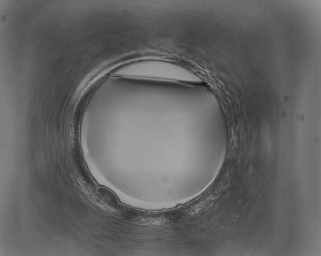 X0000083620247200703121635