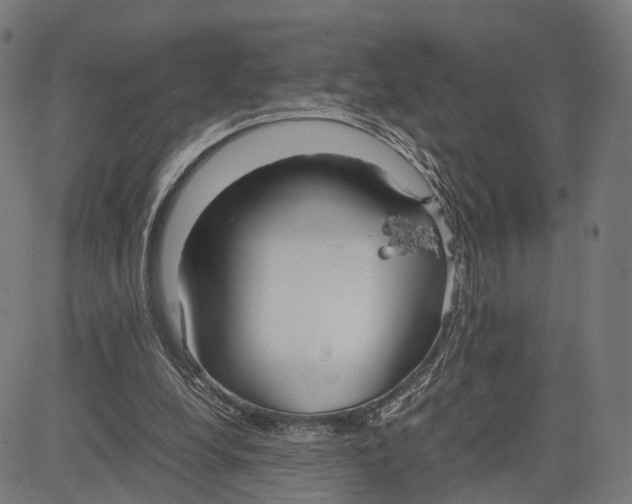 X0000083620248200703121635