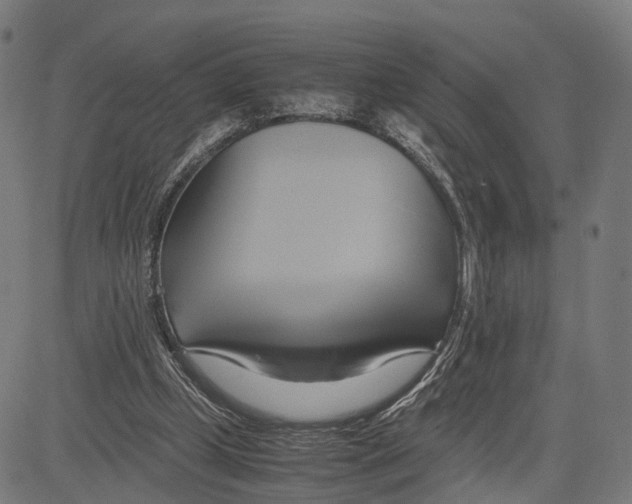 X0000083620249200703121636