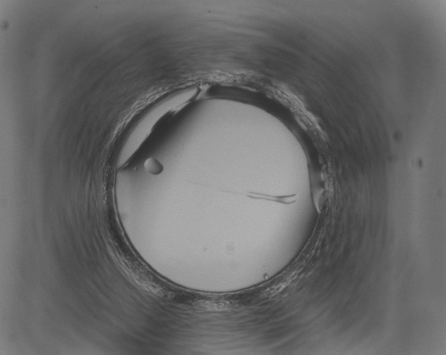 X0000083620250200703121636