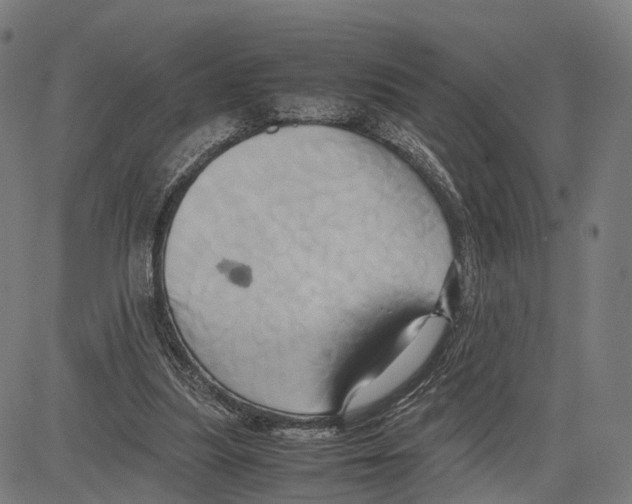 X0000083620251200703121636