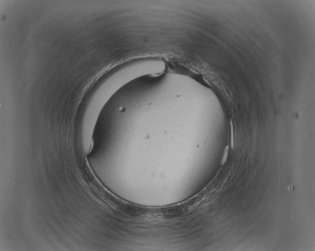 X0000083620252200703121636