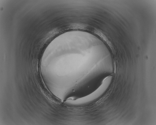 X0000083620253200703121636