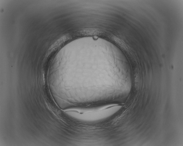 X0000083620254200703121636