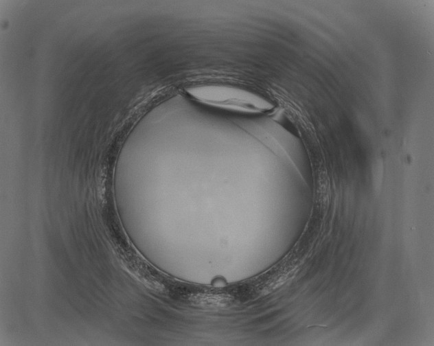 X0000083620255200703121636