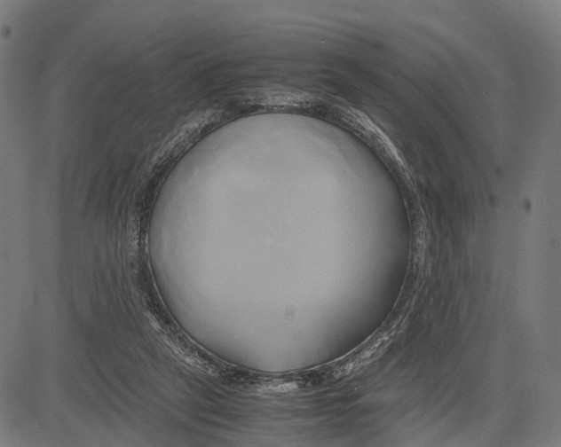 X0000083620257200703121636