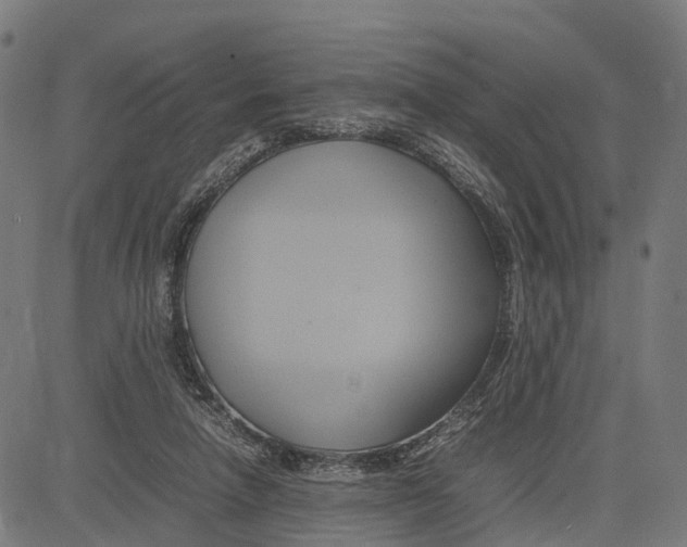 X0000083620258200703121636