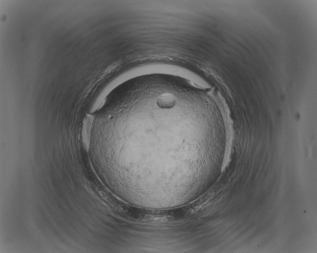 X0000083620260200703121636