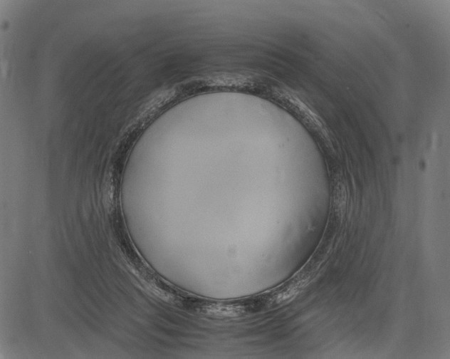 X0000083620261200703121636