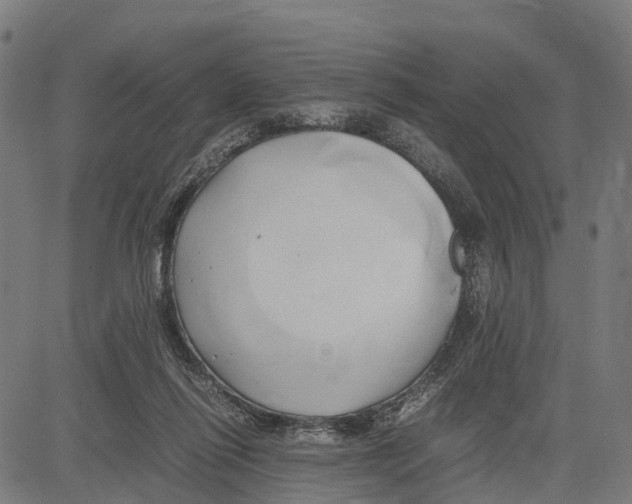 X0000083620262200703121636