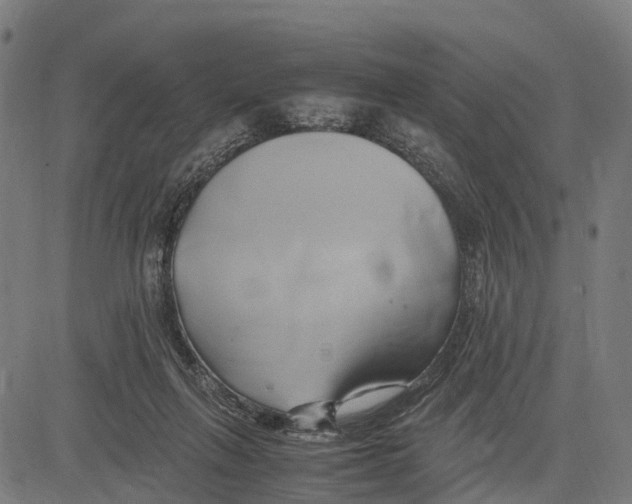 X0000083620263200703121636