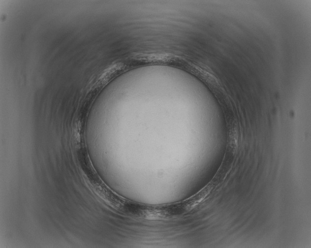 X0000083620264200703121636