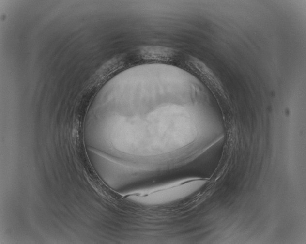 X0000083620265200703121636