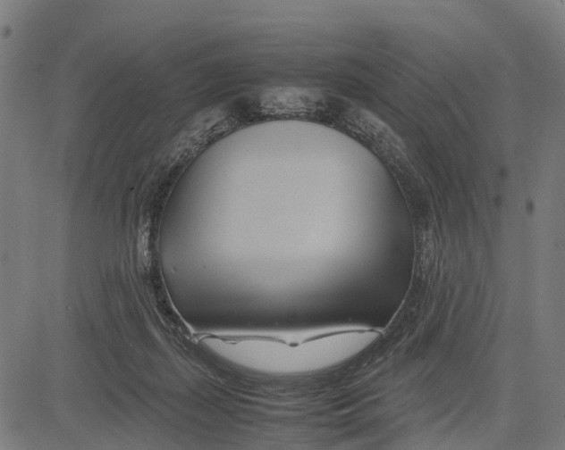 X0000083620267200703121636