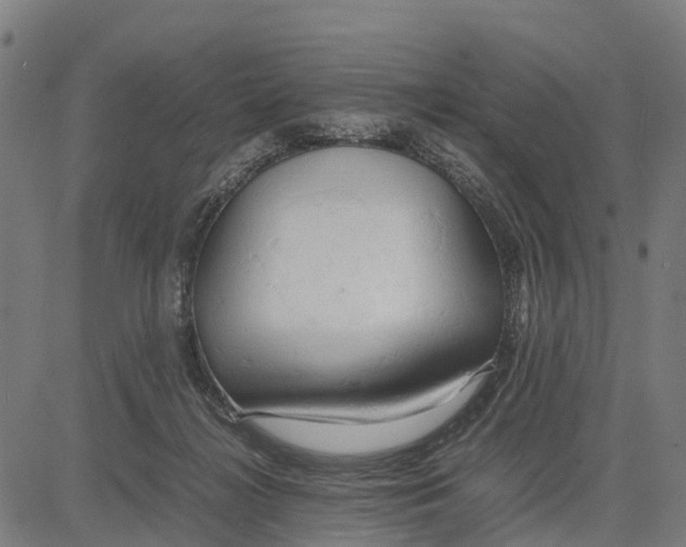 X0000083620268200703121636