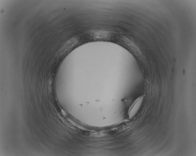 X0000083620269200703121636