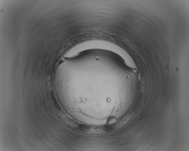 X0000083620270200703121636