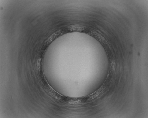 X0000083620271200703121636