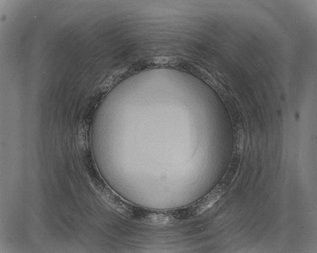 X0000083620272200703121636