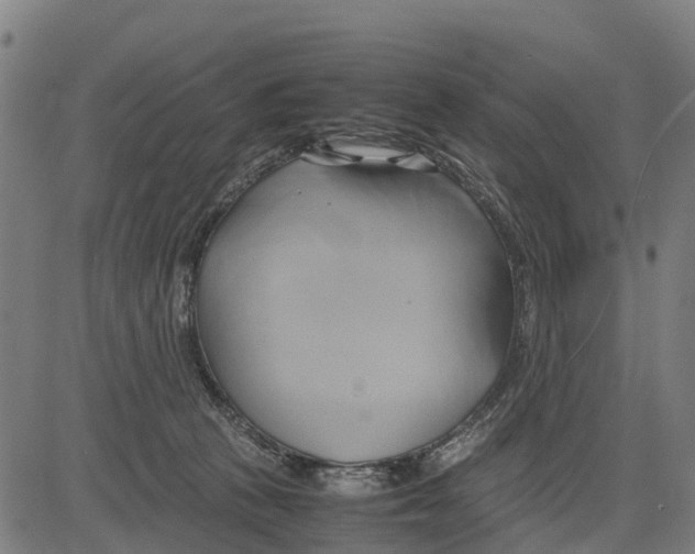 X0000083620273200703121636