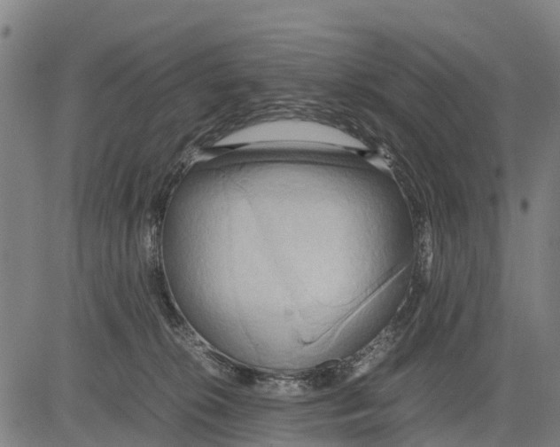 X0000083620276200703121636