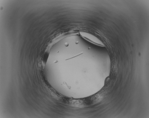 X0000083620277200703121636