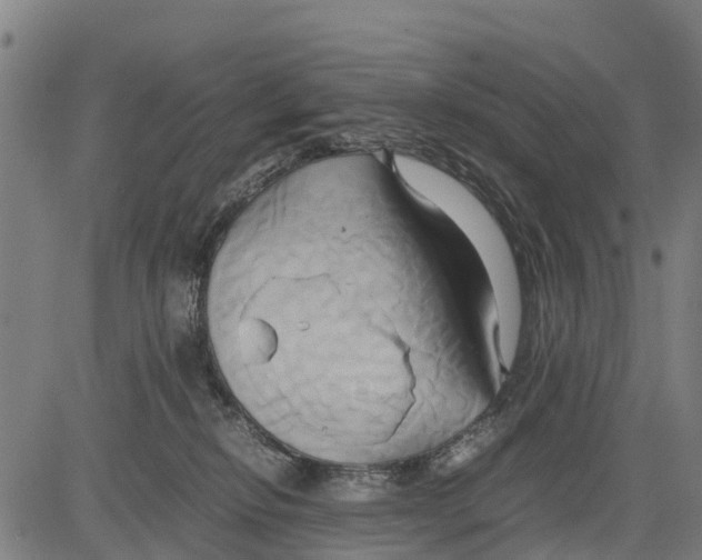 X0000083620278200703121636