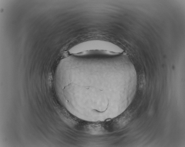 X0000083620279200703121636