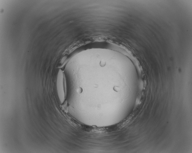 X0000083620280200703121636