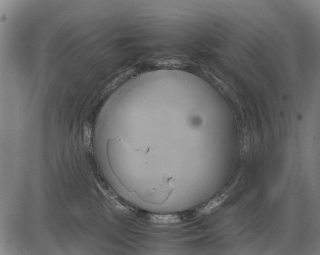 X0000083620281200703121636