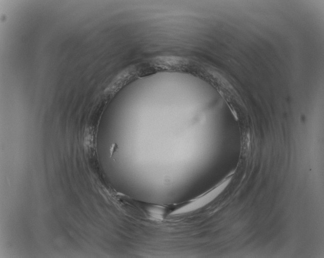 X0000083620284200703121636