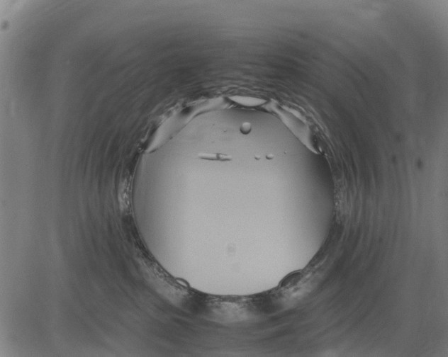 X0000083620285200703121636