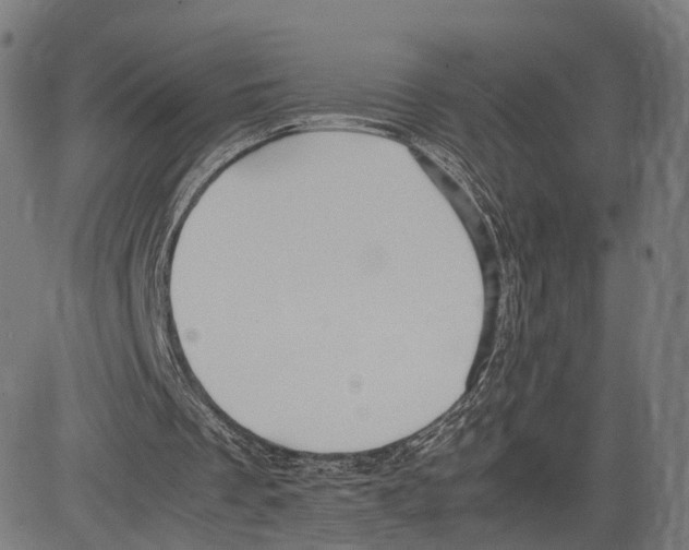 X0000083620289200703121635