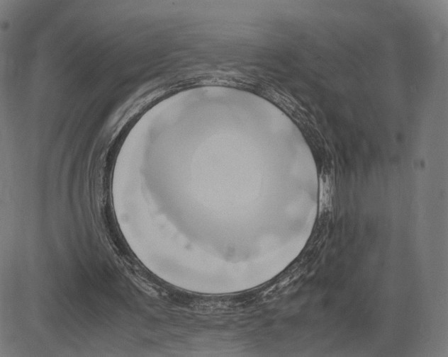 X0000083620291200703121635