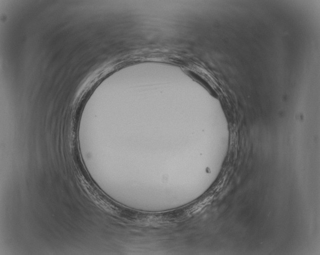 X0000083620293200703121635