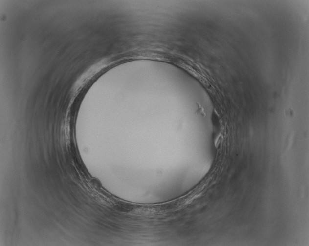 X0000083620294200703121635