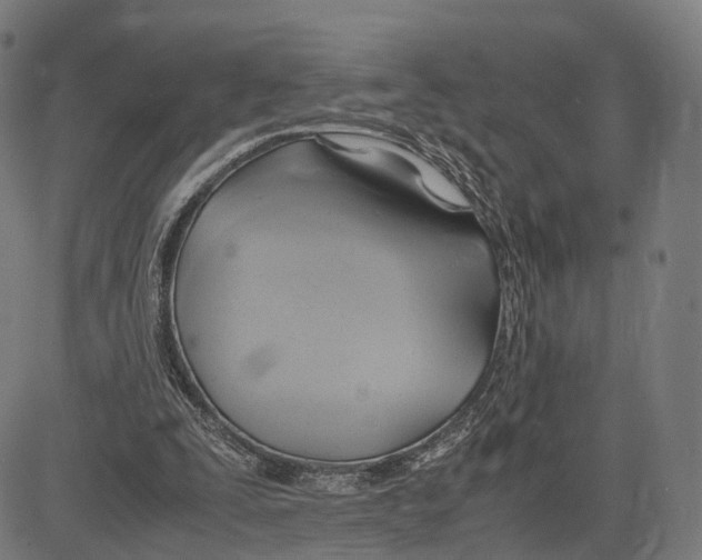 X0000083620295200703121635