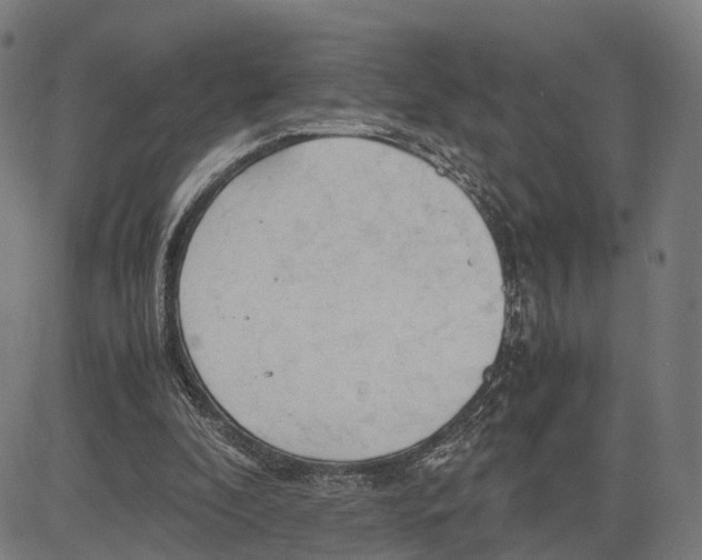 X0000083620296200703121635