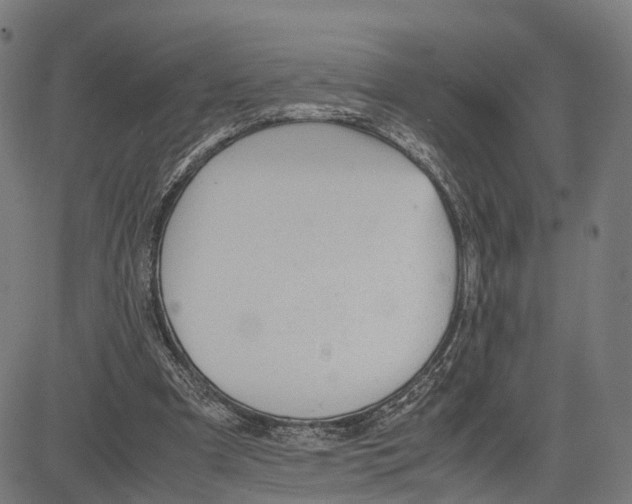 X0000083620297200703121635