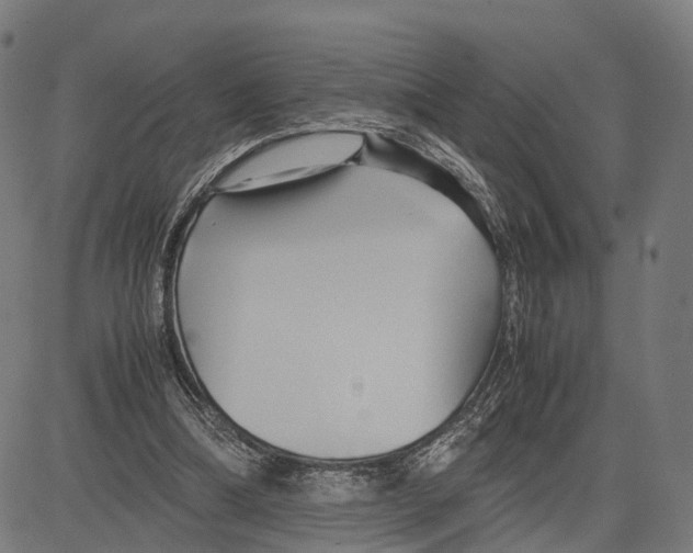 X0000083620298200703121635